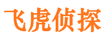 芗城侦探